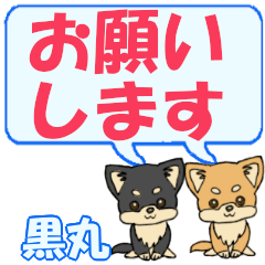 Kuromaru's letters Chihuahua2