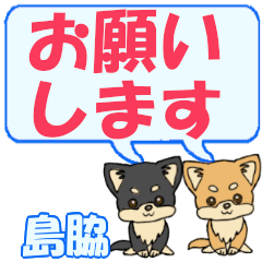 Shimawaki's letters Chihuahua2