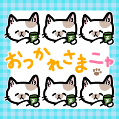 Suzu's Cats Sticker -Lots of Suzu's cats