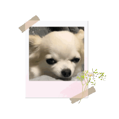 nora_20240616145451