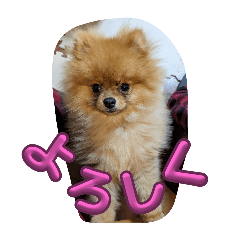 sakurako_20240616130128