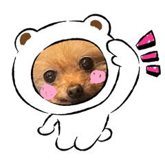 pokopoko_20240616074707