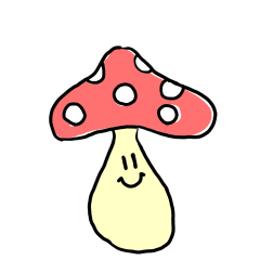 the summer of mushrooms 02