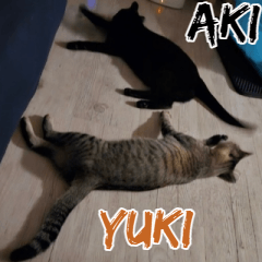 Yuki & Aki