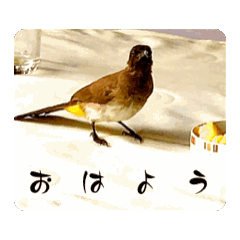 chat_20240616105308