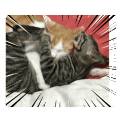 chat_20240616130513