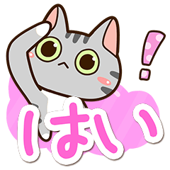 Sticker of American shorthair Cat.21