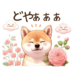 A warm Shiba Inu and flower Sticker