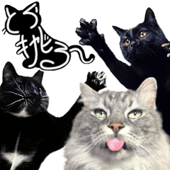 Torashima&Caviar&Sissel Cat Stickers