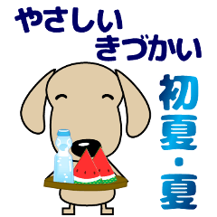 kind-hearted dachshunds(dog) Summer