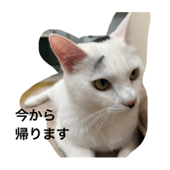 reikurasan_20240616203055