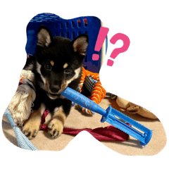 C1000_20240616192844