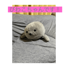 kacchin_20240616194656