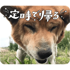 OCHIHO_20240616211847