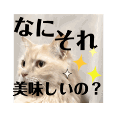 nekoyanagi yureru_20240617121218