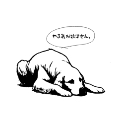 Inukichi_20240616185355