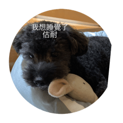 不同的豆豆
