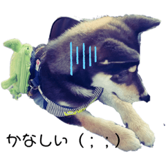 銀ちゃん♡スタンプ♡日常♡