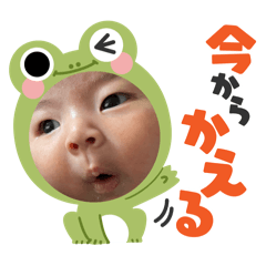 RAIKA_20240617082756