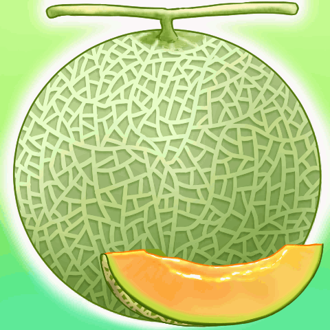 Jump out! Assortment of melons
