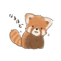 Baby red panda stickers