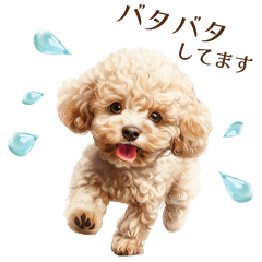 Toy poodle| Easy-To-Use Sticker