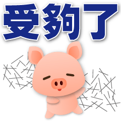 Handsome Pig- Daily Practical Phrases