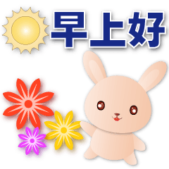 Cute yellow rabbit-practical every day