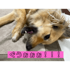 futomomoshinshi_20240617220946