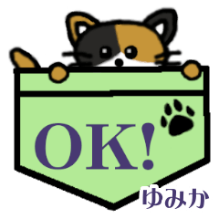 Yumika's Pocket Cat's