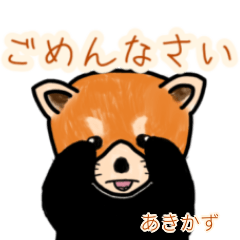 Akikazu's lesser panda