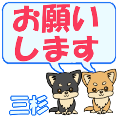 Misugi's letters Chihuahua2