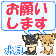 Mizugai's letters Chihuahua2