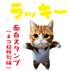 Funny Sticker(Cat Super Special Edition)