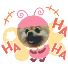 michiko_20240618094501