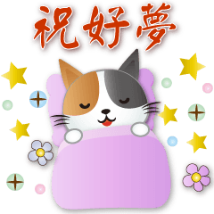 Cute  Calico cat  - daily expressions
