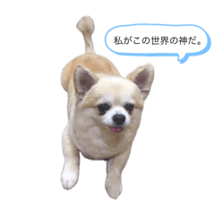 Chisa_20240618115734