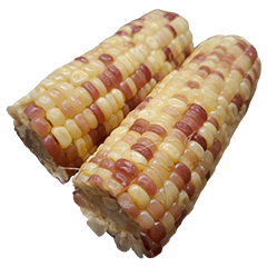 食物系列 : 一些玉米 #23