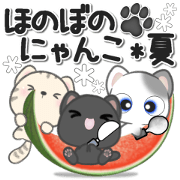 Heartwarming cats *Summer*