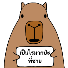 คาปิบาร่าาาาาาา