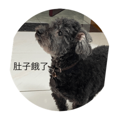 不同的豆豆2
