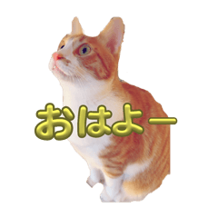 Atchi_20240618165147