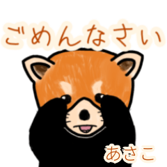 Asako's lesser panda