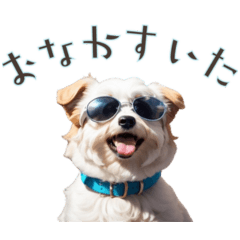 Sunglasses Marpu (Japanese Stamp)