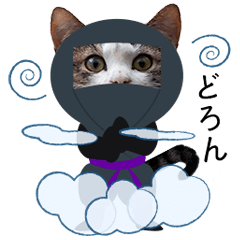 Moves! Ninja Cat Sticker