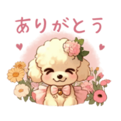 Soft pastel toy poodle