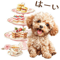 Toy poodles and Afternoon Tea