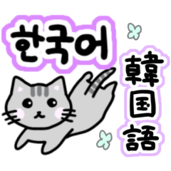 可愛い猫と韓国語