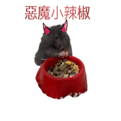 辣椒椒的快樂生活2