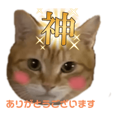 keccos stamp_20240618232443